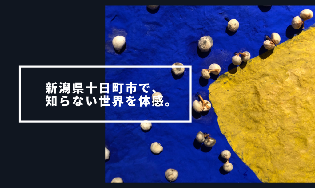 新潟県十日町市で、知らない世界を体感してみる。 | 旅マニア｜TABI MANIA